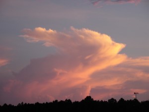Photo by G. Romlewski; tall pink cloud