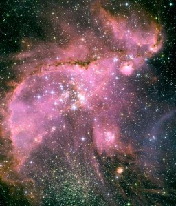 NGC 346 (Pink Elephant Nebula!) 